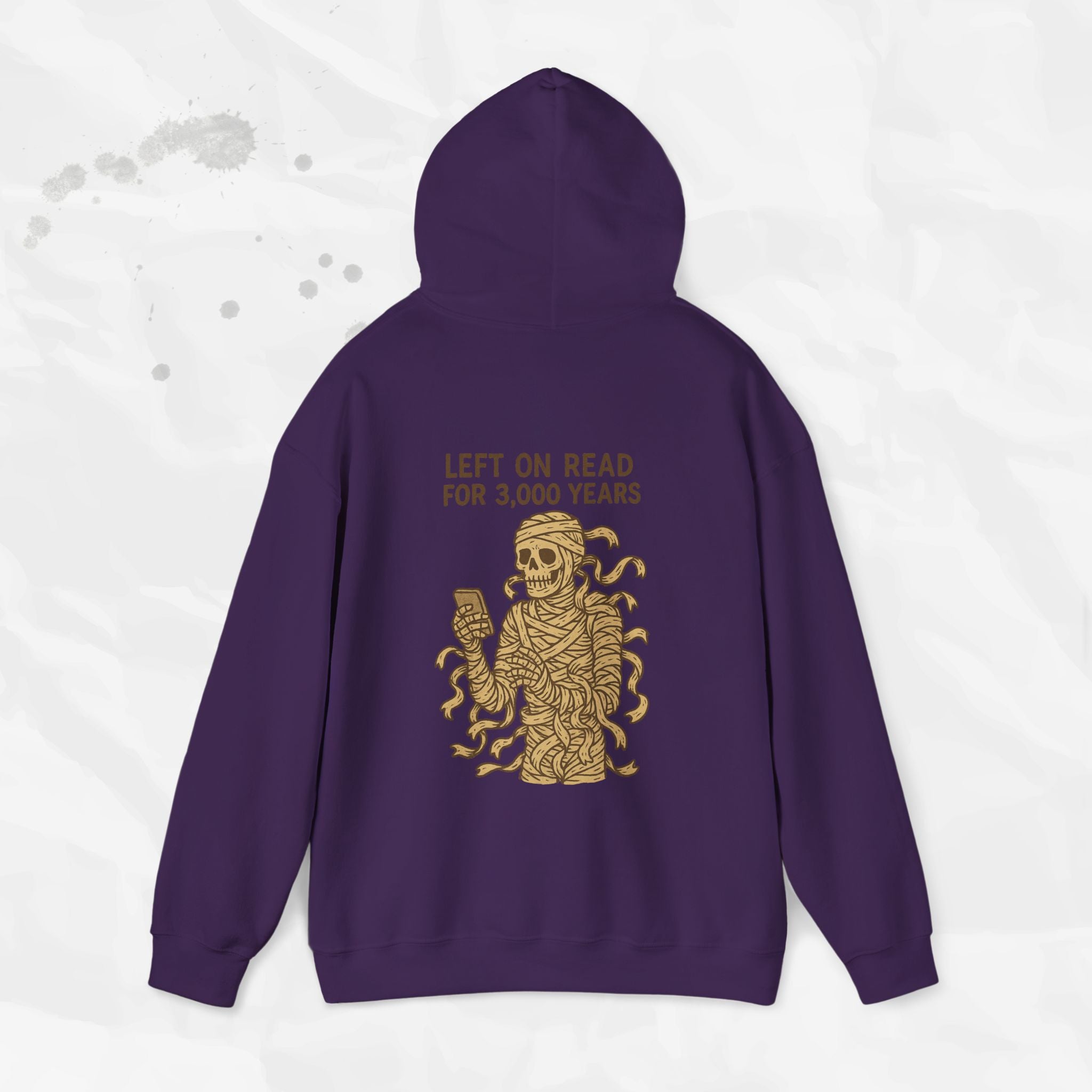 Left on Read for 3,000 Years - Hoodie